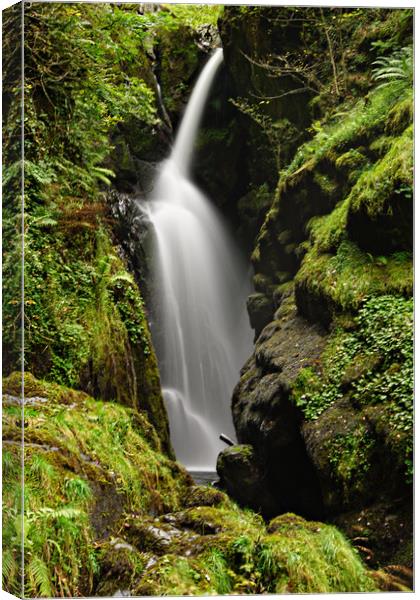  Aira Force Waterfall Canvas Print by Karl Butler