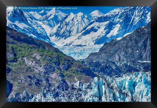  Alaskan Glaciers Framed Print by Gilbert Hurree