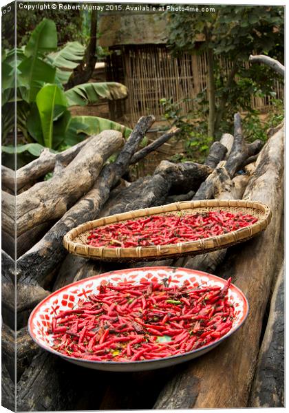  Drying the Chilies 2 Canvas Print by Robert Murray