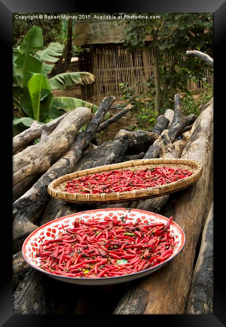  Drying the Chilies 2 Framed Print by Robert Murray