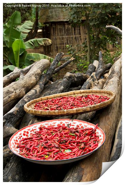  Drying the Chilies 2 Print by Robert Murray
