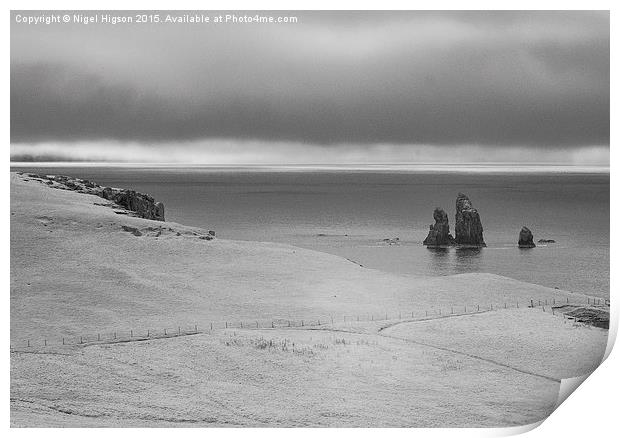  Shetland Coastal Scene Print by Nigel Higson
