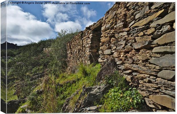Ruins of a schist cottage in Alentejo  Canvas Print by Angelo DeVal