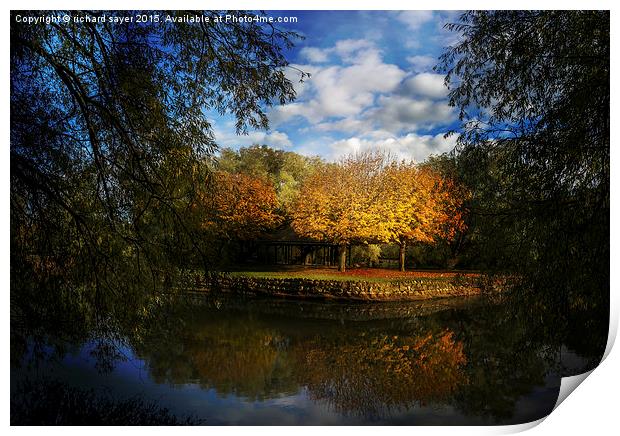  Autumns Touch Print by richard sayer