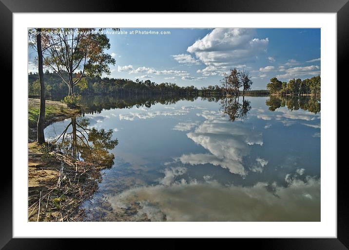 Reflections by the Lake  Framed Mounted Print by Angelo DeVal