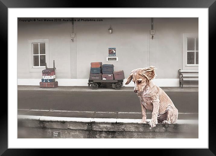 Station Puppy Framed Mounted Print by Terri Waters