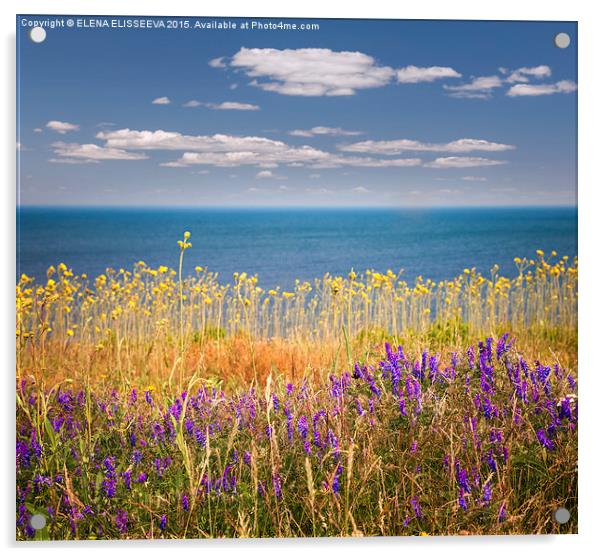 Wildflowers and ocean Acrylic by ELENA ELISSEEVA