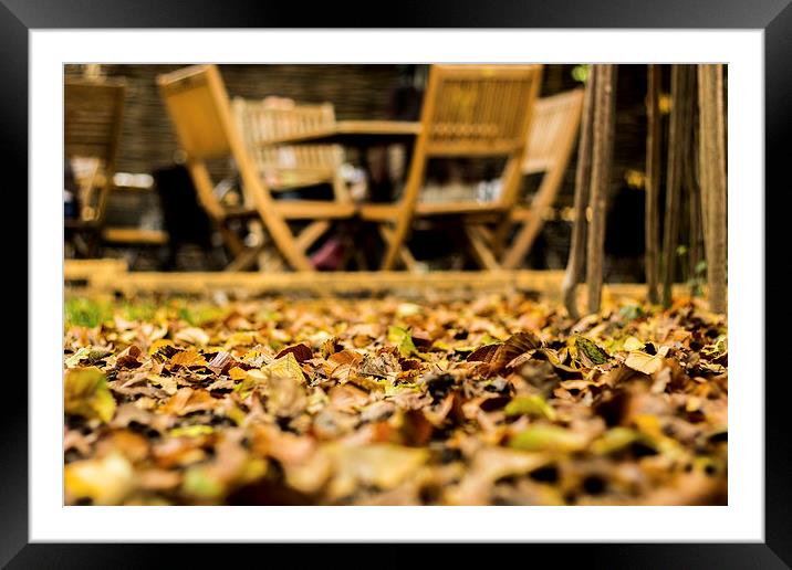 Autumn corner Framed Mounted Print by Radu Trancau