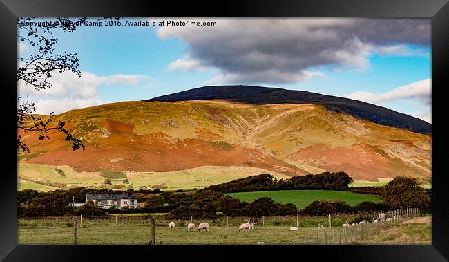 Black Combe Framed Print by Trevor Camp