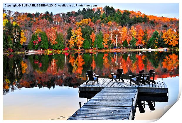 Wooden dock on autumn lake Print by ELENA ELISSEEVA