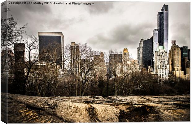  New York Skyline from Central Park Canvas Print by Lee Morley