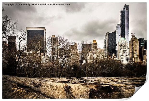  New York Skyline from Central Park Print by Lee Morley