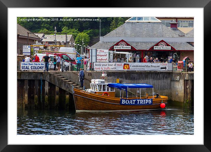  Oban Boat Trip Framed Mounted Print by Alex Millar