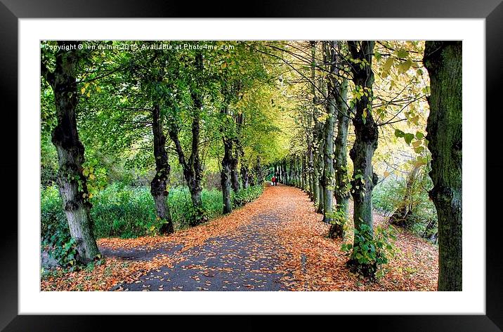HAND IN HAND THROUGH THE AVENUE OF AUTUMN  Framed Mounted Print by len milner