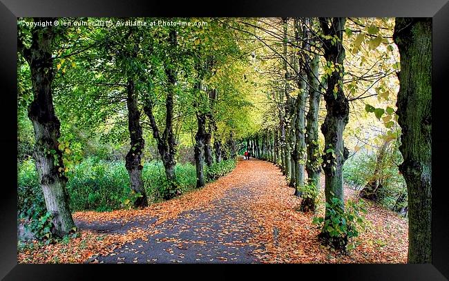 HAND IN HAND THROUGH THE AVENUE OF AUTUMN  Framed Print by len milner