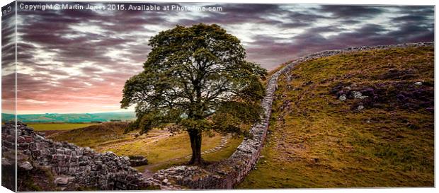  Sycamore Gap - Iconic Northumbria Canvas Print by K7 Photography