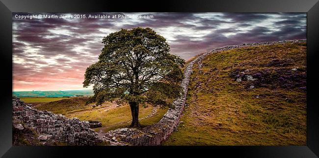  Sycamore Gap - Iconic Northumbria Framed Print by K7 Photography