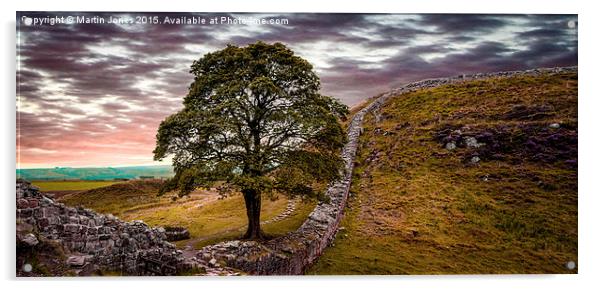  Sycamore Gap - Iconic Northumbria Acrylic by K7 Photography