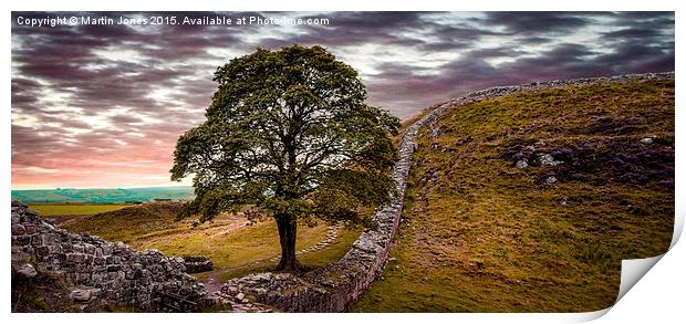  Sycamore Gap - Iconic Northumbria Print by K7 Photography