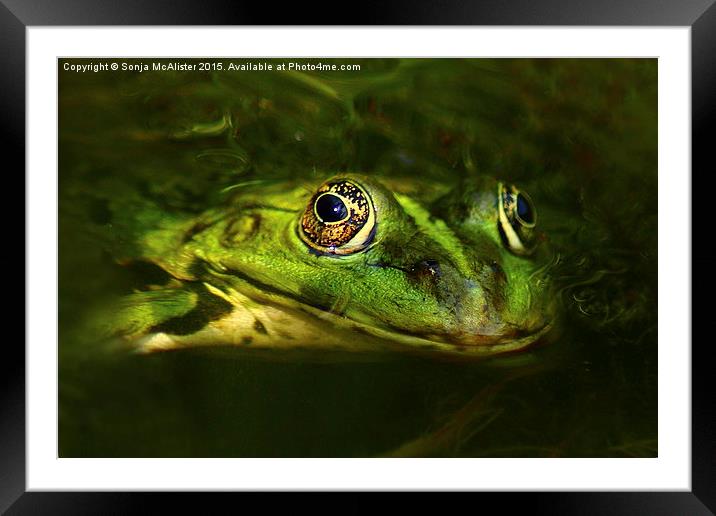  Beware Of The Pond Monster Framed Mounted Print by Sonja McAlister
