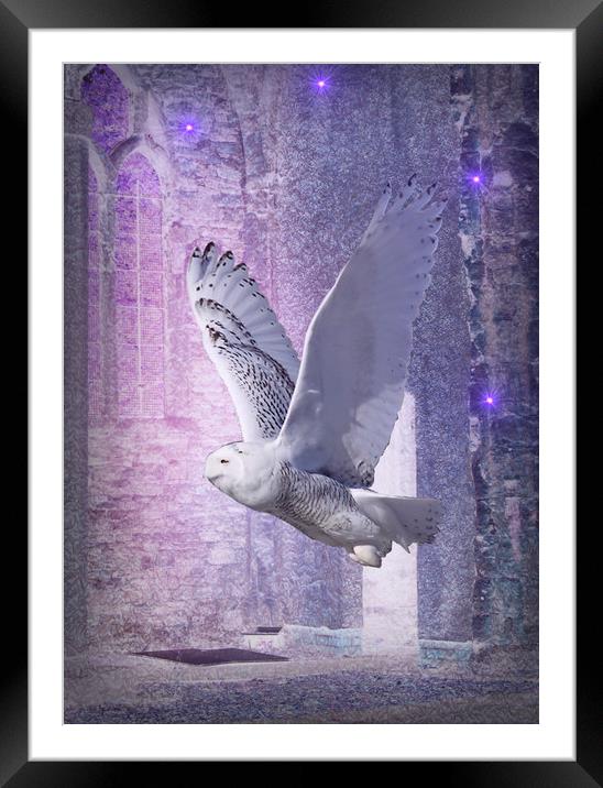  Barn Owl's Shelter. Framed Mounted Print by Heather Goodwin