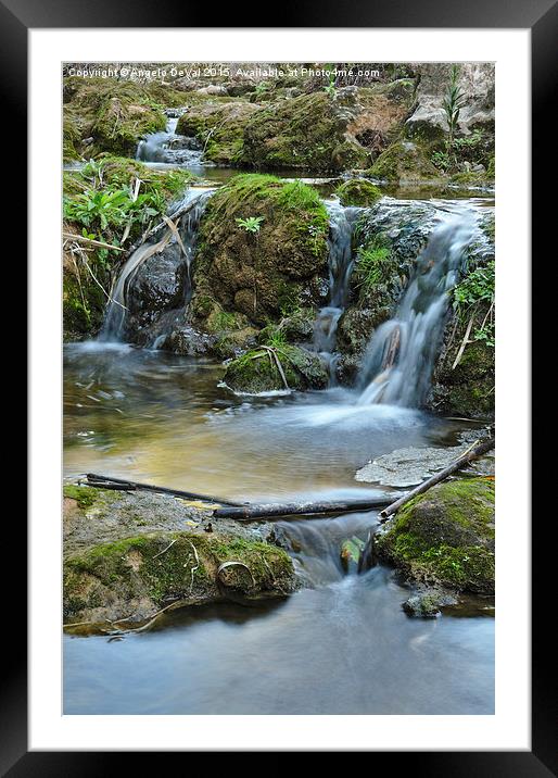 Cascades and bamboos in a peaceful creek Framed Mounted Print by Angelo DeVal