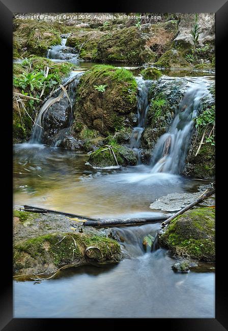 Cascades and bamboos in a peaceful creek Framed Print by Angelo DeVal