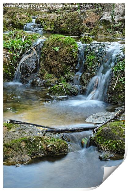 Cascades and bamboos in a peaceful creek Print by Angelo DeVal