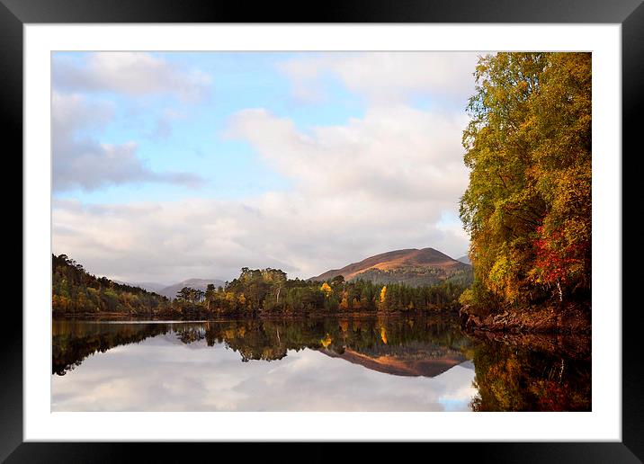  Autumn In Glen Affric Framed Mounted Print by Macrae Images