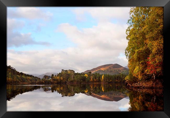 Autumn In Glen Affric Framed Print by Macrae Images