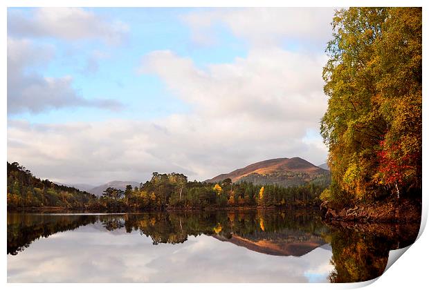  Autumn In Glen Affric Print by Macrae Images
