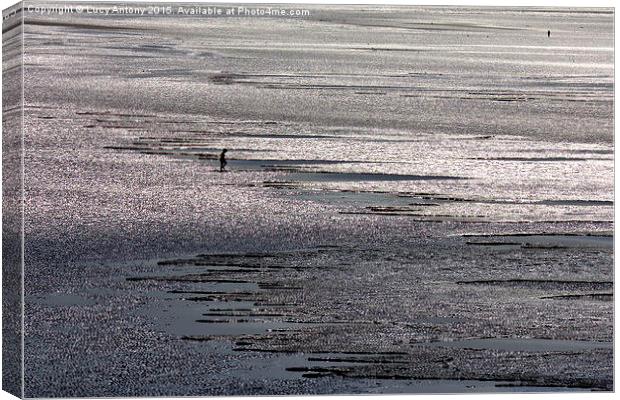  Silver Sand, Weston Super Mare Canvas Print by Lucy Antony