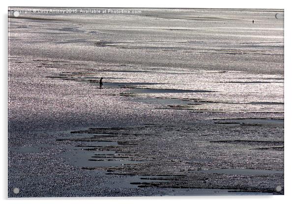  Silver Sand, Weston Super Mare Acrylic by Lucy Antony