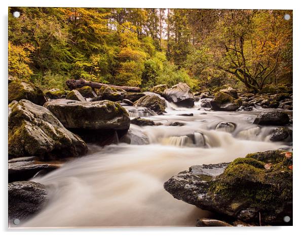  The River Braan, near Dunkeld, Scotland. Acrylic by Tommy Dickson