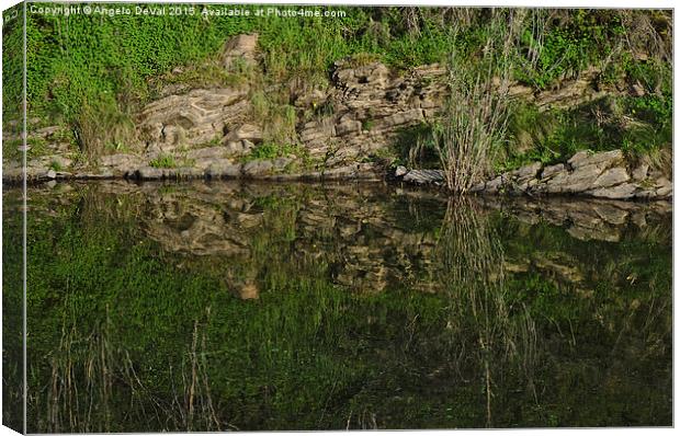  Reflecting on the river Canvas Print by Angelo DeVal