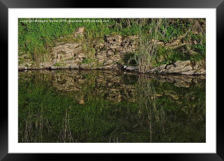  Reflecting on the river Framed Mounted Print by Angelo DeVal