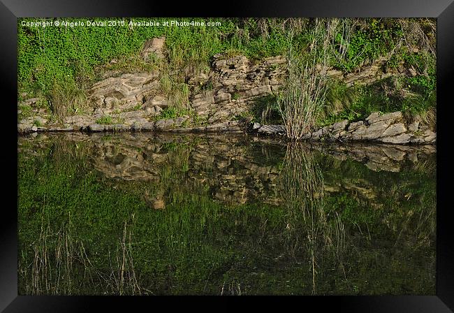  Reflecting on the river Framed Print by Angelo DeVal