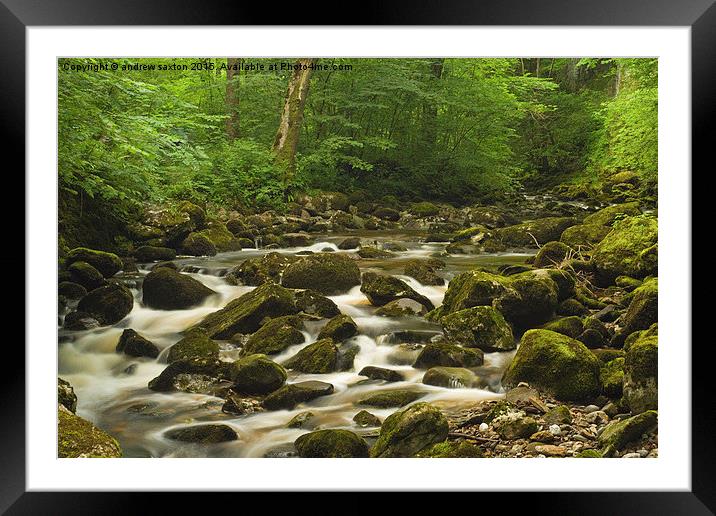  SHALLOW WATERS Framed Mounted Print by andrew saxton