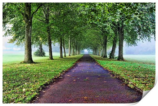 The Avenue in the Fog  Print by Valerie Paterson