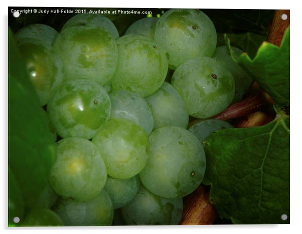  Grapes Acrylic by Judy Hall-Folde