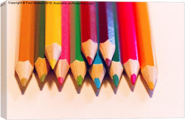  Coloured Pencils Canvas Print by Paul Muscat