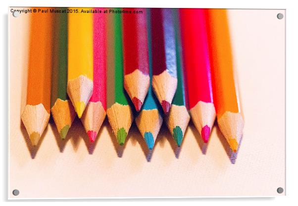 Coloured Pencils Acrylic by Paul Muscat