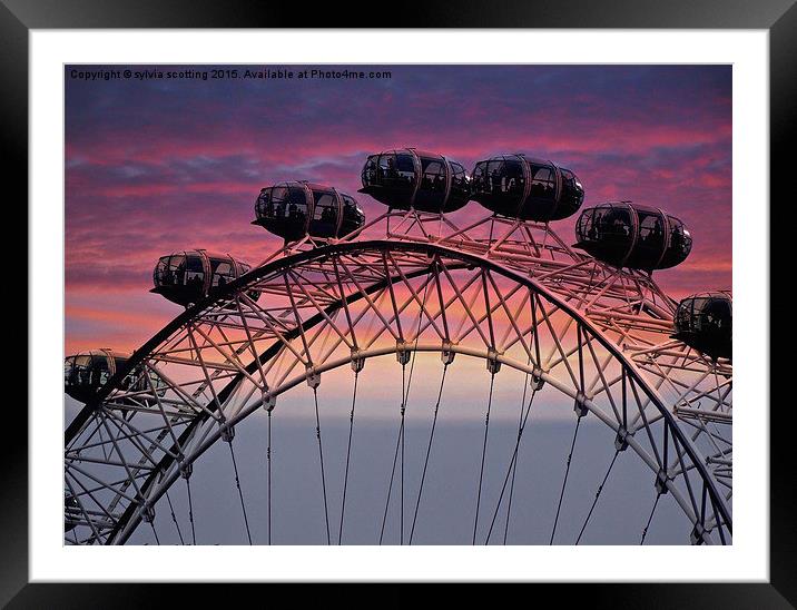  Sunset at the London Eye Framed Mounted Print by sylvia scotting