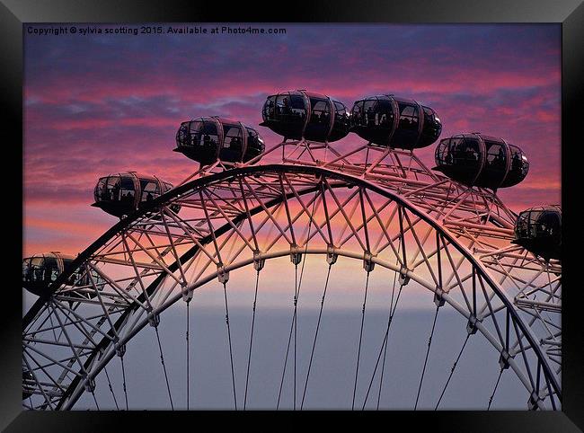  Sunset at the London Eye Framed Print by sylvia scotting