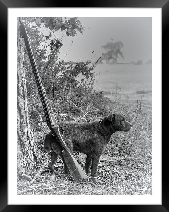  Patterdale Terrier Framed Mounted Print by Jon Fixter