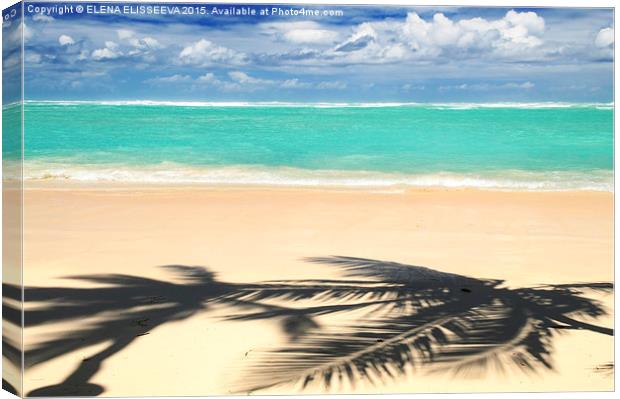 Tropical beach Canvas Print by ELENA ELISSEEVA