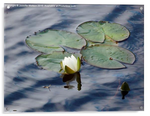  Water Lilies Acrylic by Jennifer Henderson