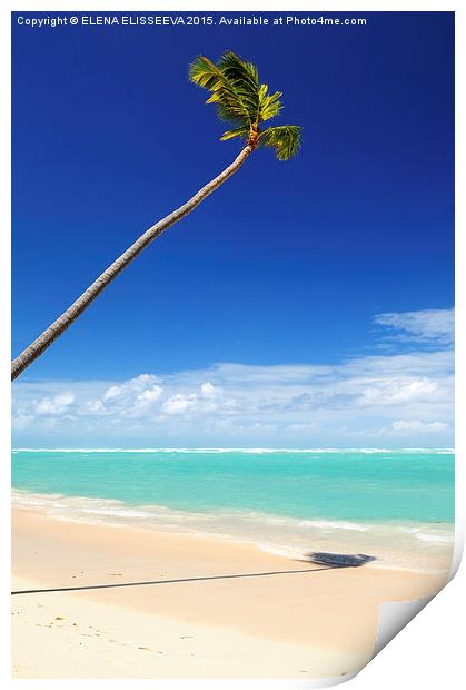 Tropical beach and palm tree Print by ELENA ELISSEEVA