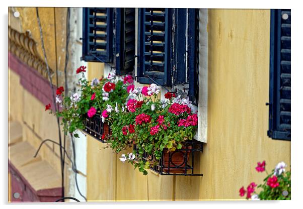 Old Town Sibiu Romania with flowers at windows Acrylic by Adrian Bud