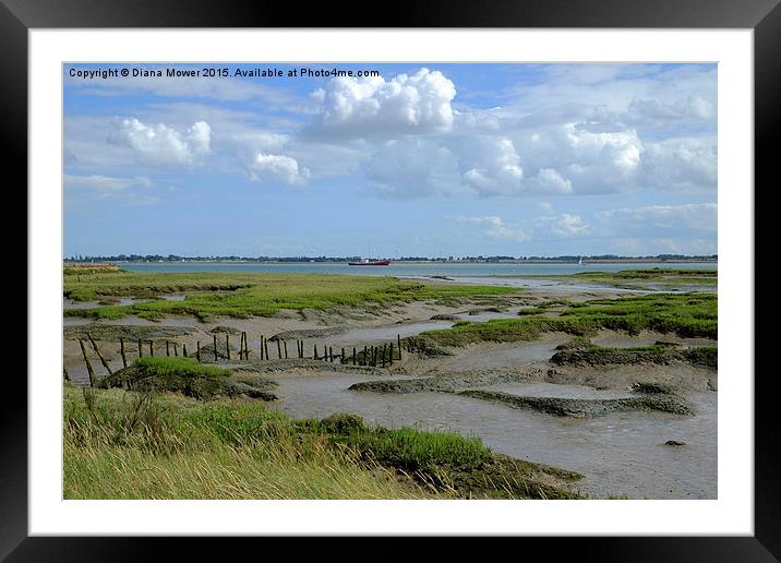Tollesbury Marshes,  Essex  Framed Mounted Print by Diana Mower